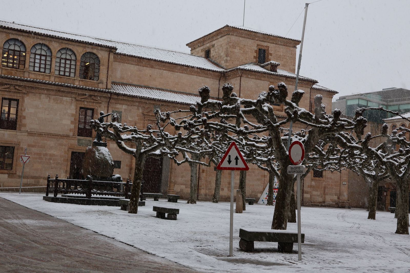 GALERÍA | Nieve en Zamora capital este miércoles