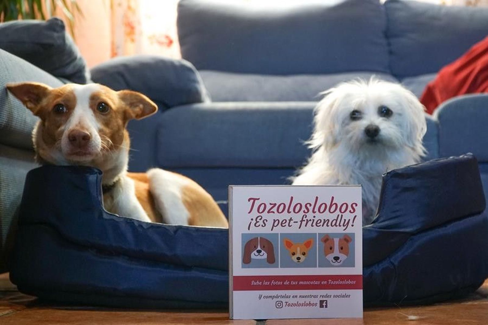 E4A080D0 00B6 4870 A1A5 C453A6939533 (Copy)