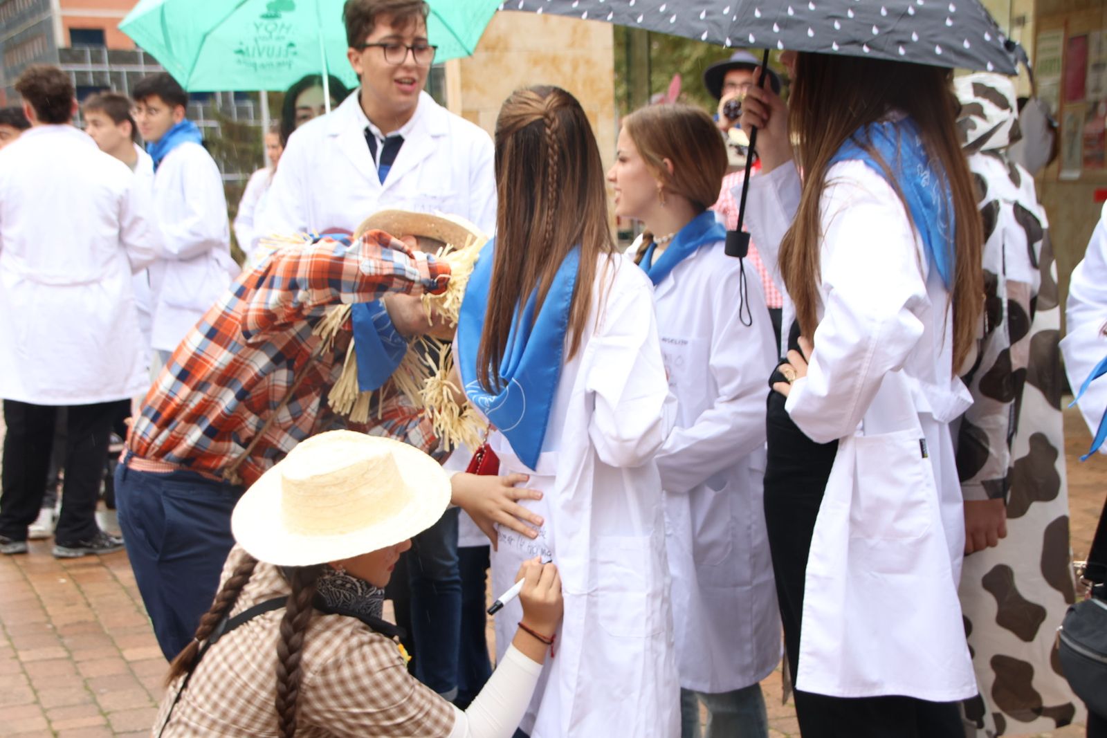 Fiestas de San Alberto