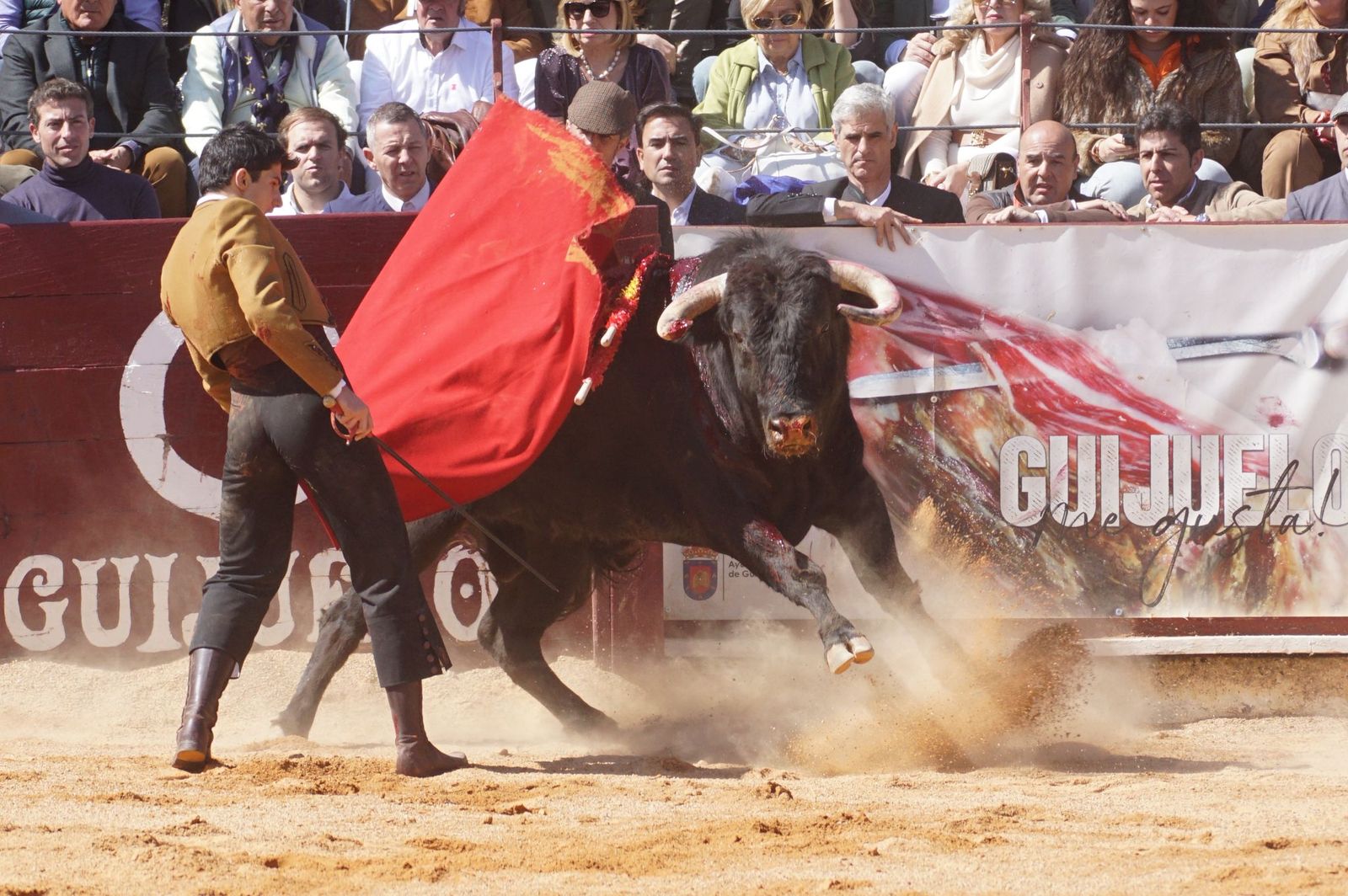 Festival taurino solidario por la esclerosis múltiple en Guijuelo
