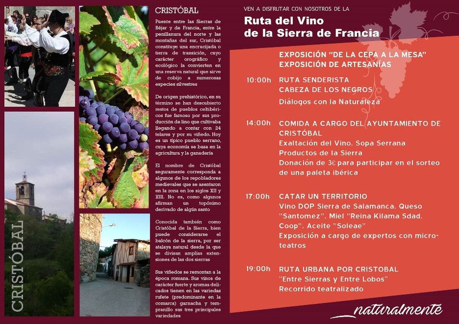 Dip rutavinosierrafrancia B