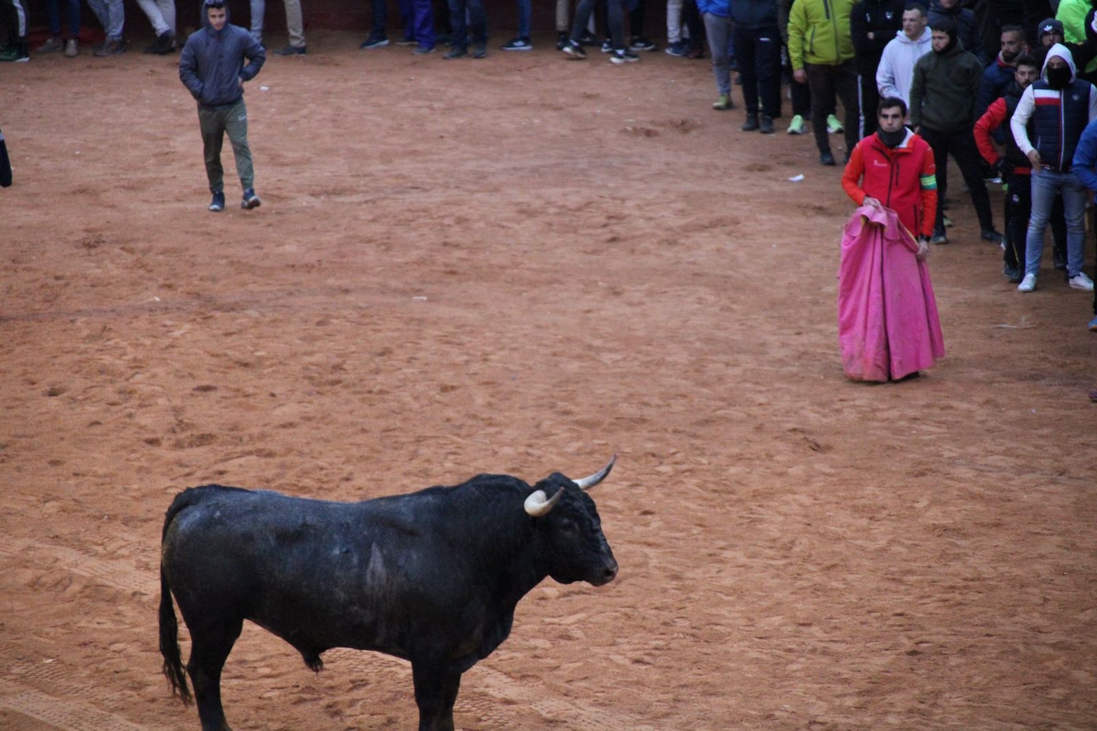 whatsapp-image-2025-03-02-at-19-32-37-2