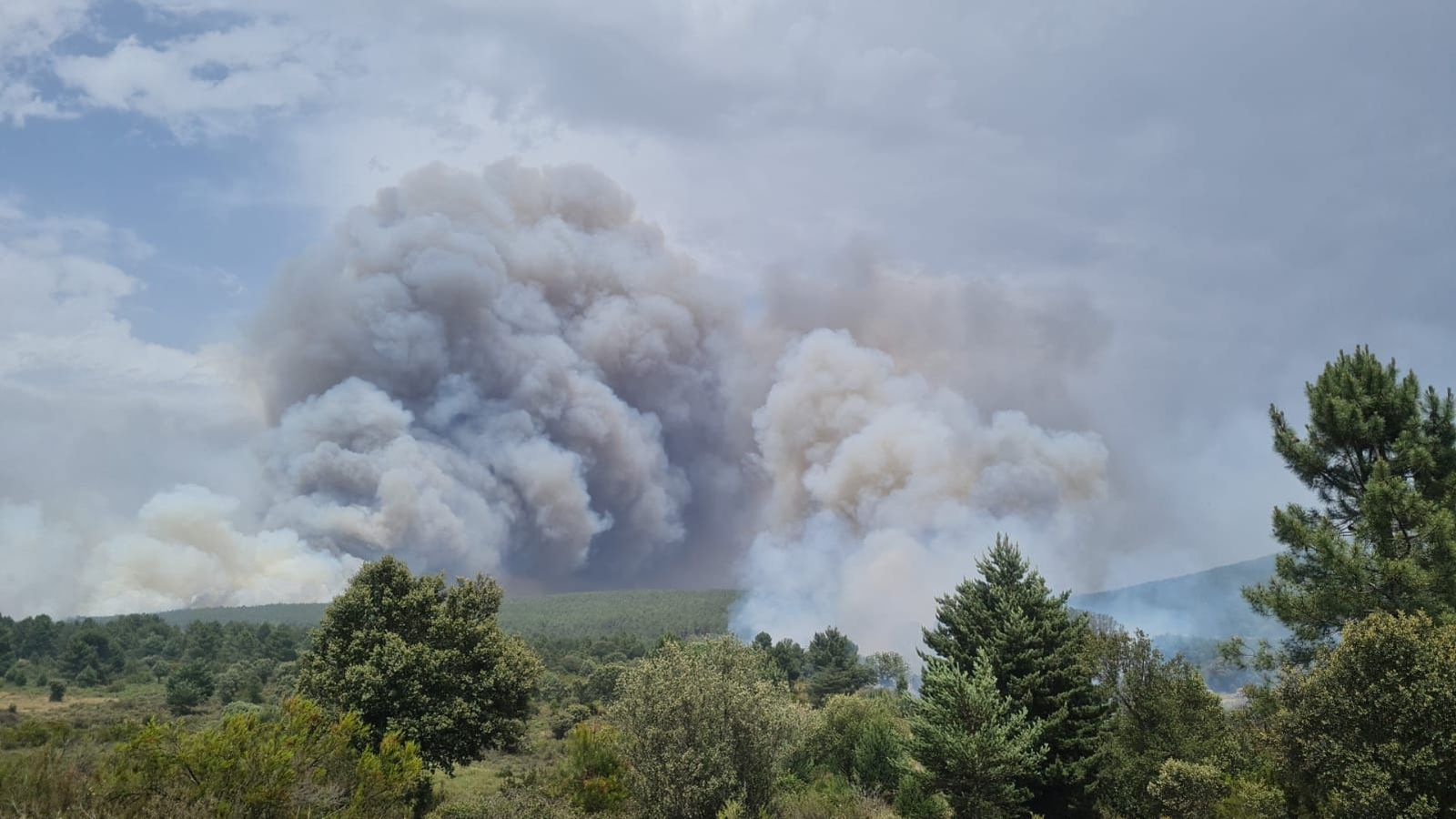 Situación actual del incendio