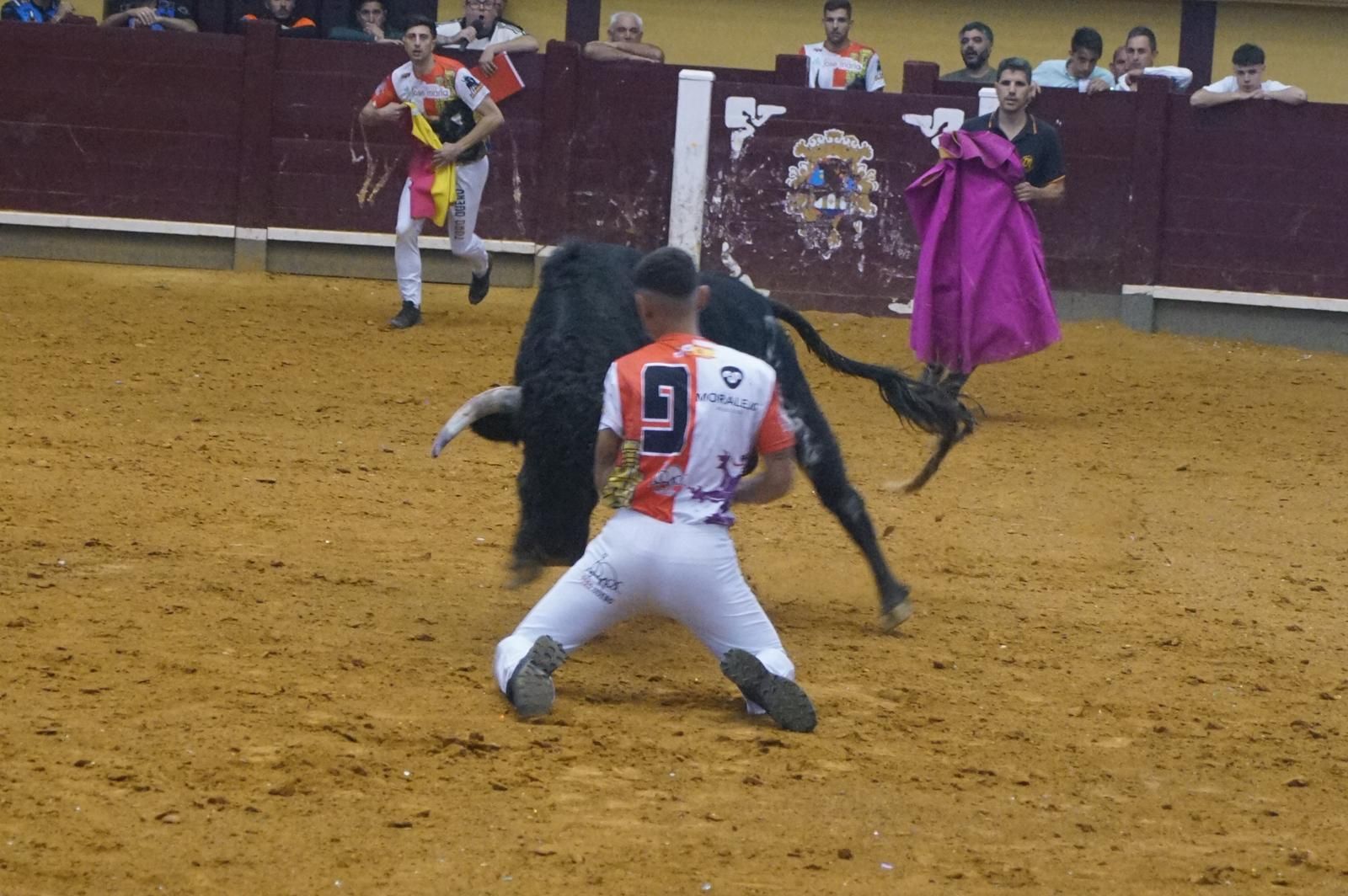 Alba de Tormes celebra un nuevo concurso de cortes