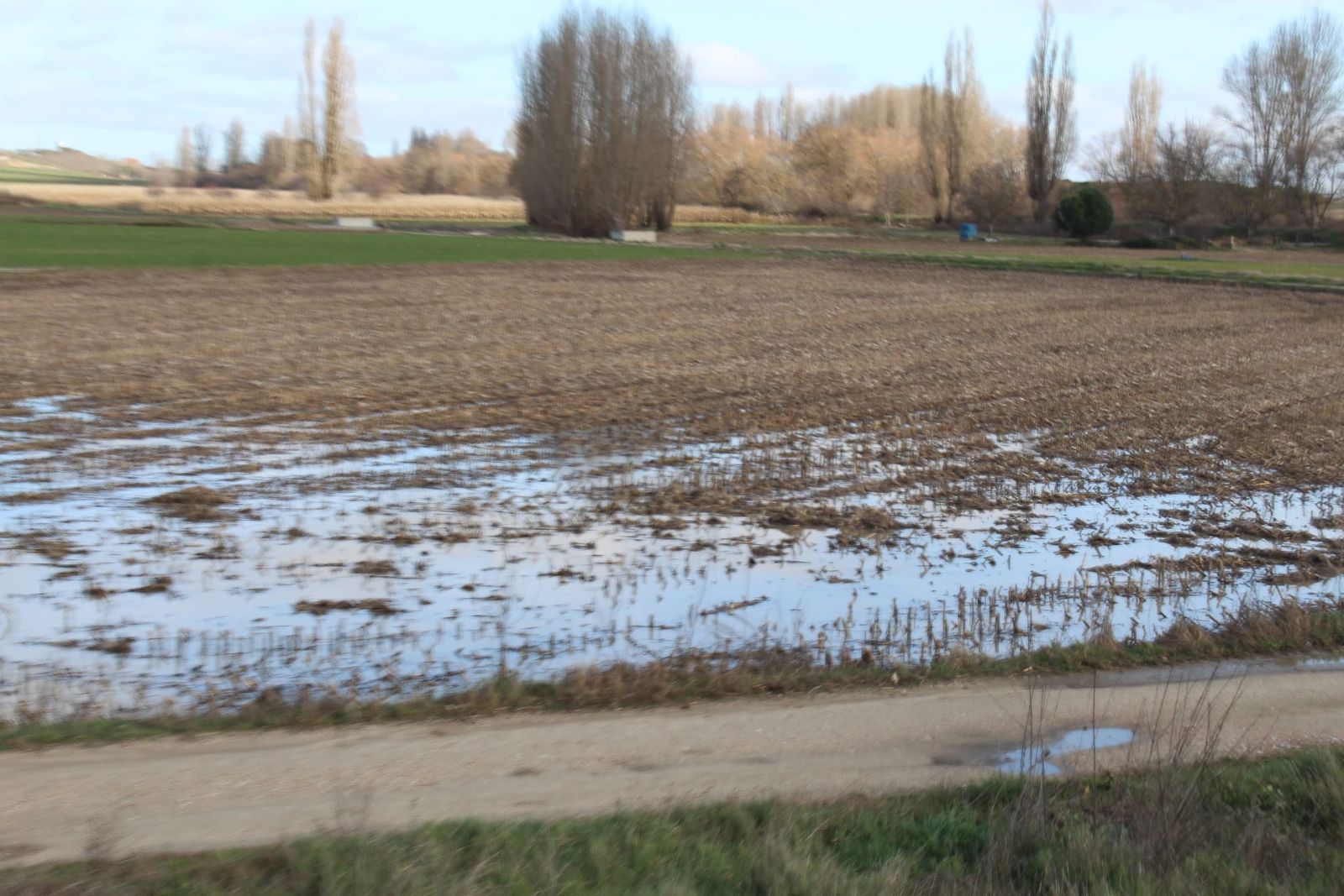 el-rio-almar-entra-en-alerta-asi-se-encuentra-en-alconada-4