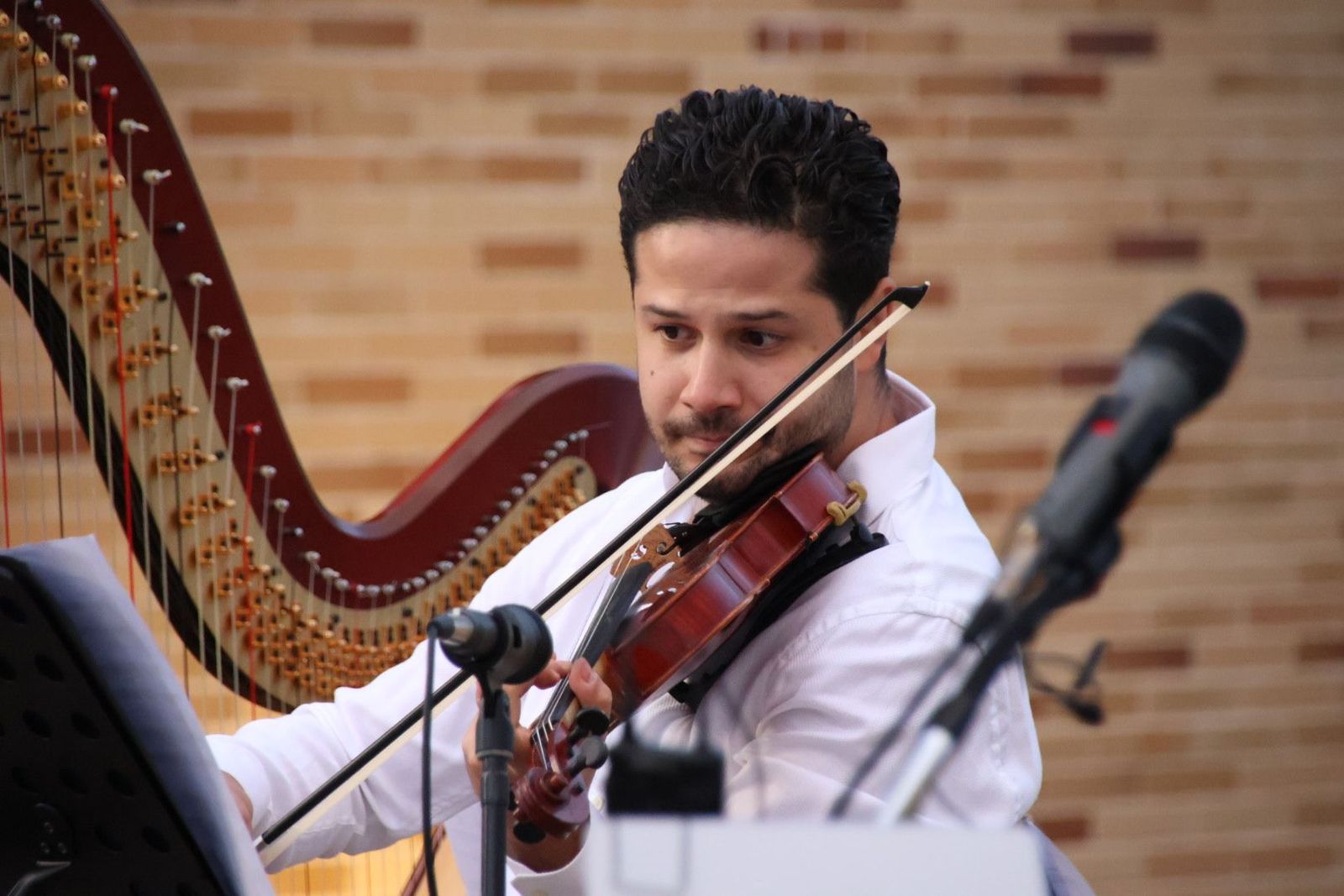 20240504200916-img-3926