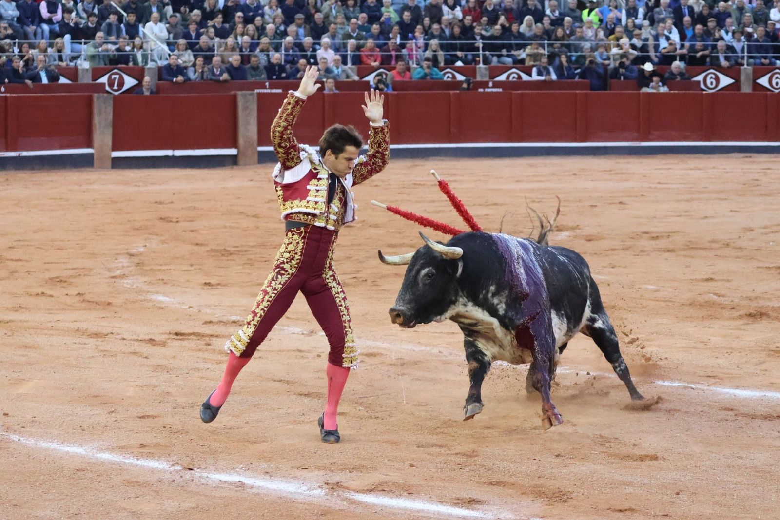 20230921192016-img-8336