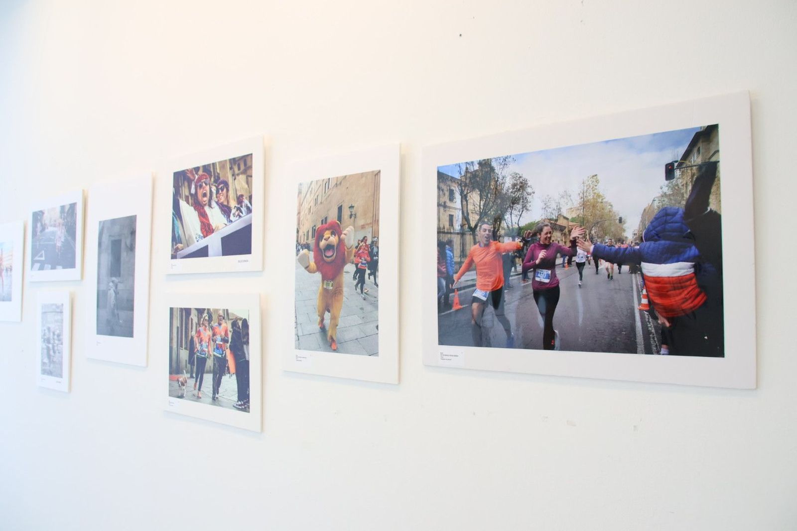 20240404181519-img-6185