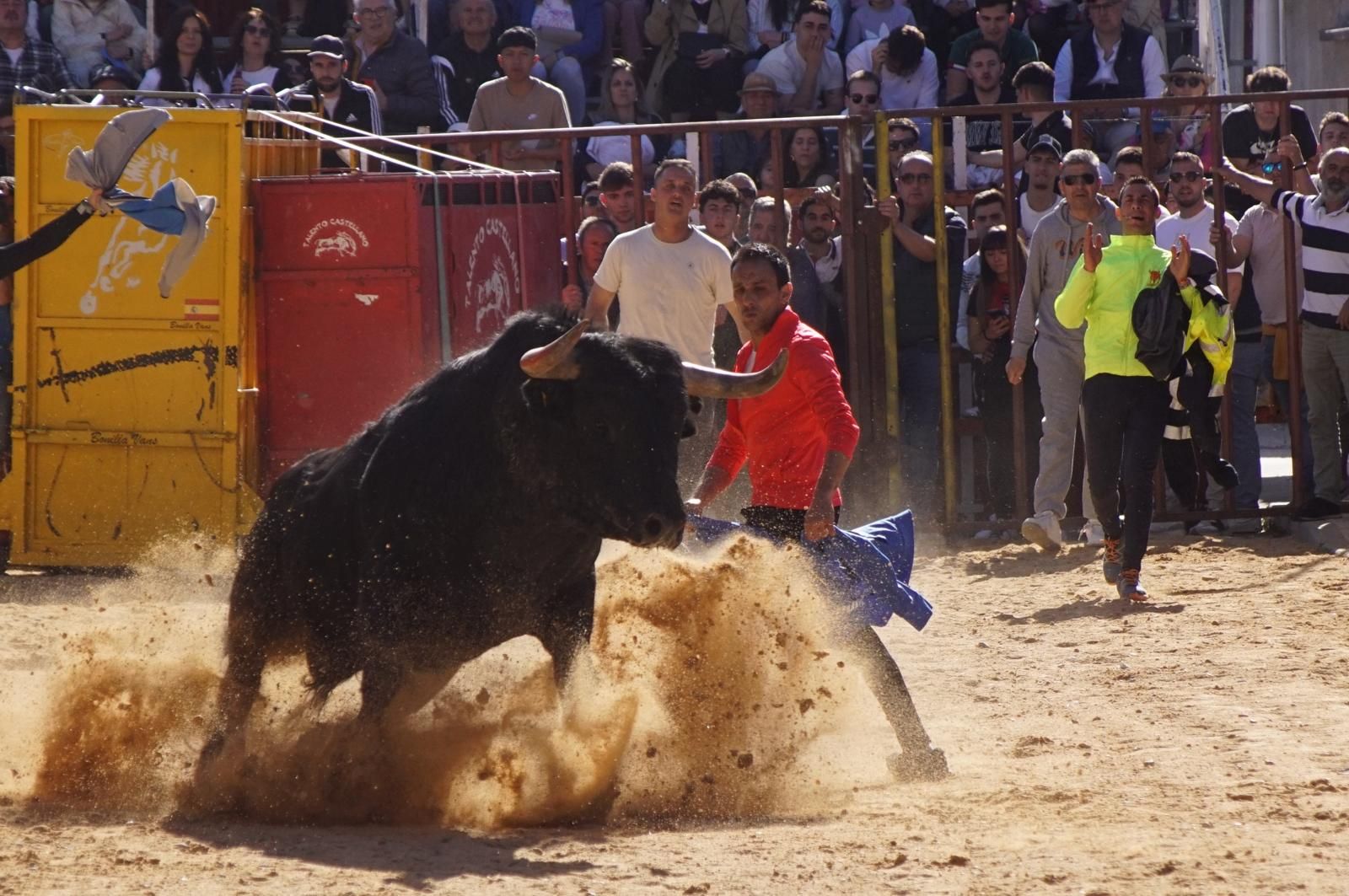 whatsapp-image-2025-04-26-at-19-02-17-1