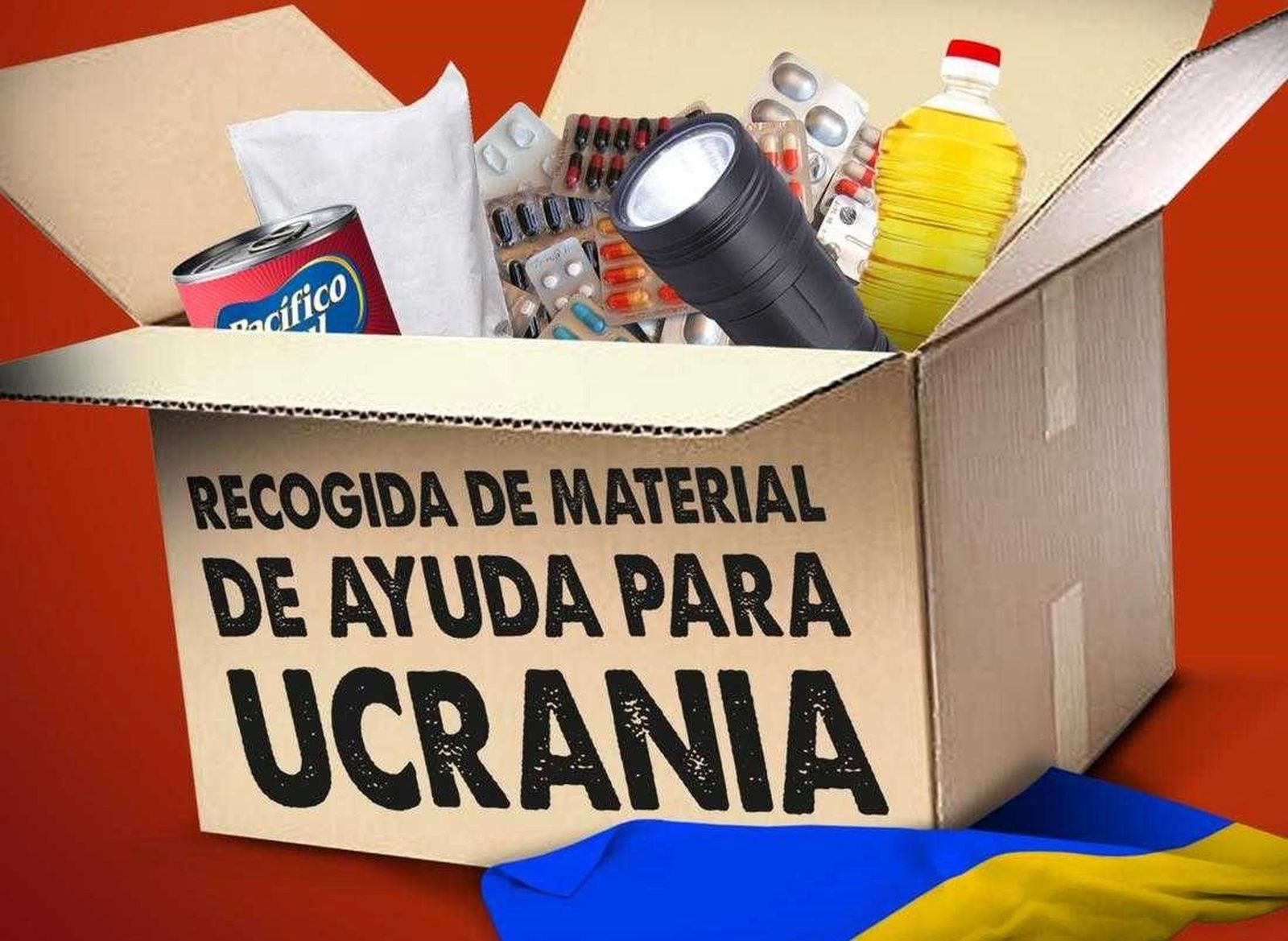 Consejo Local de la Juventud