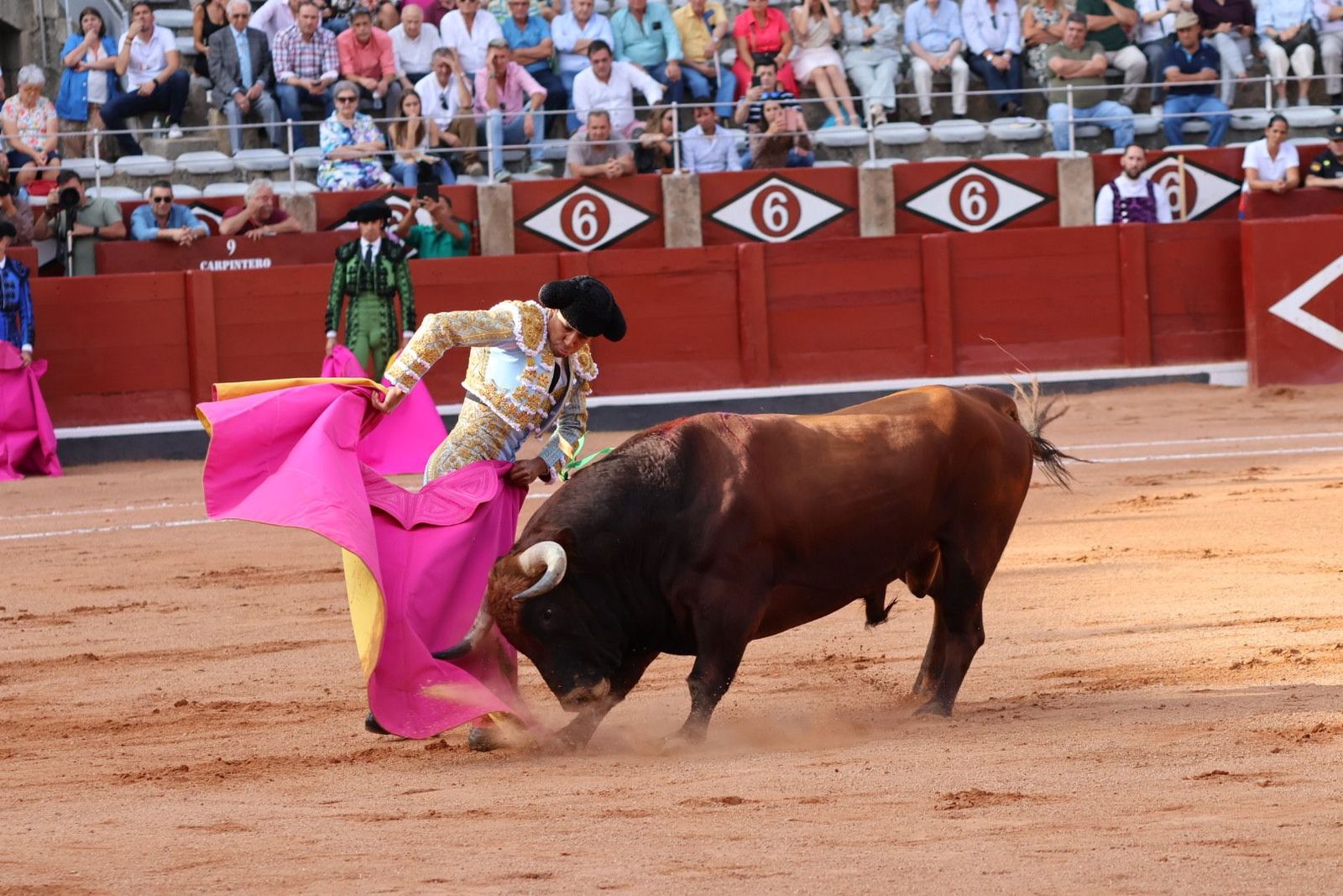 20230910174122-img-1840