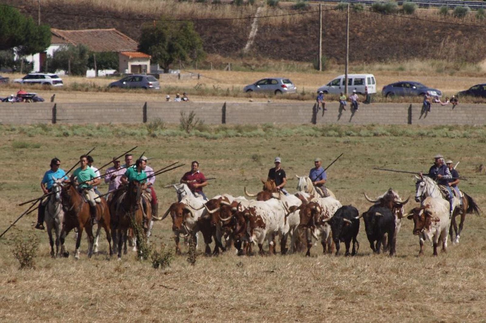 espantes-de-fuentesauco-55