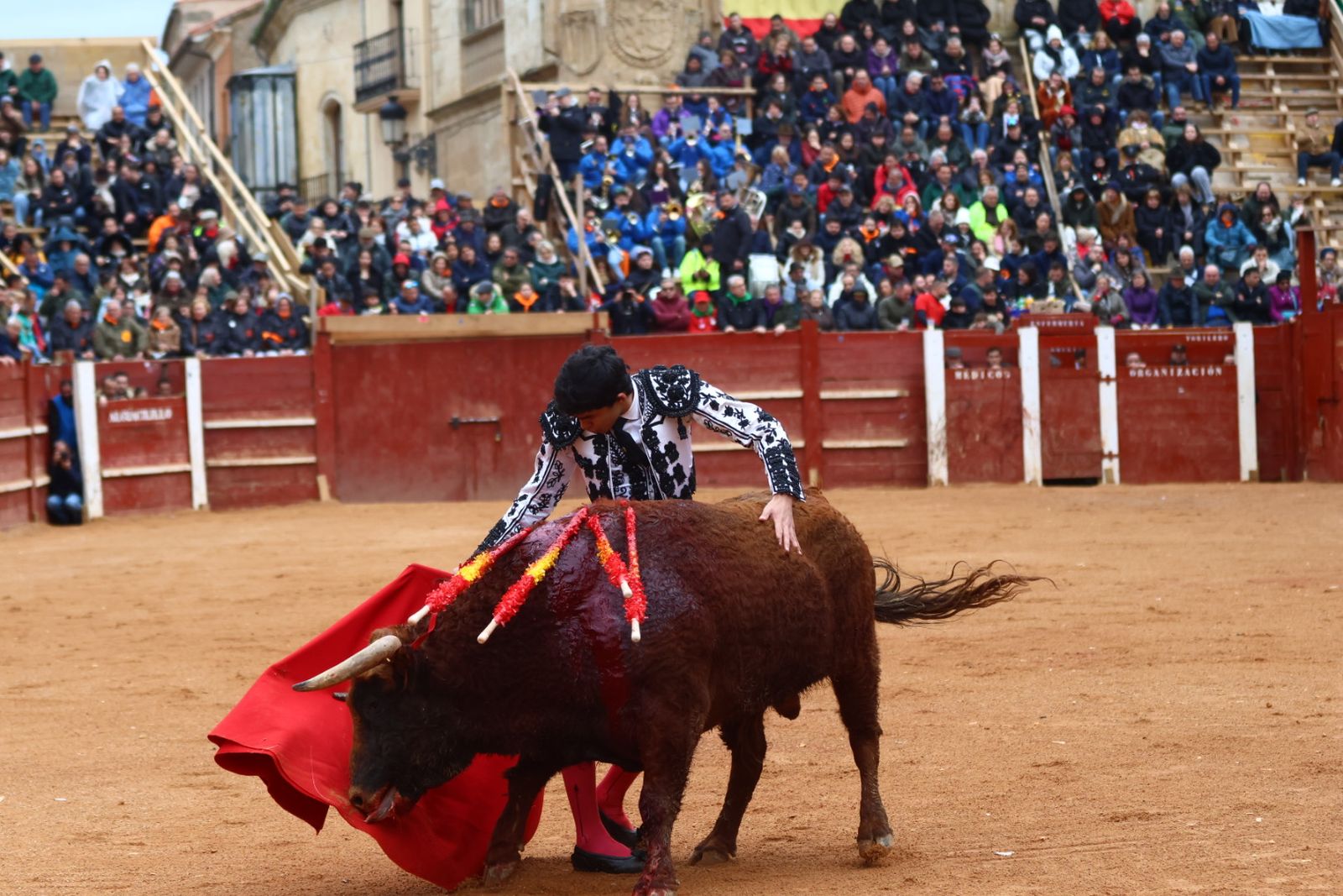 Novillada con picadores de lunes en el Carnaval del Toro de Ciudad Rodrigo 2026