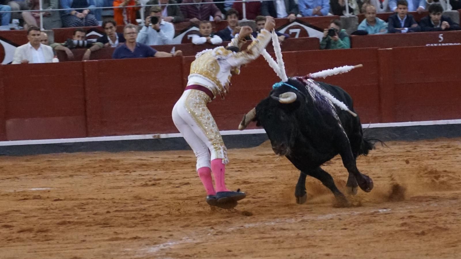 Ismael Martín banderilleando un toro de Lorenzo Espioja en la feria de 2024