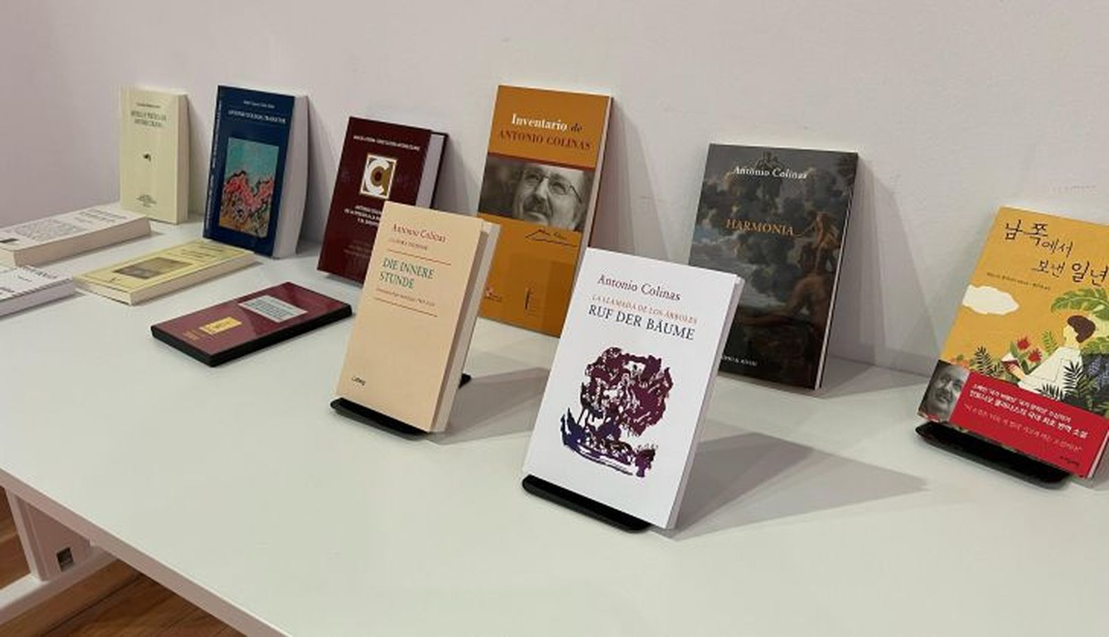 WhatsApp Image 2025 04 09 at 11.52.04