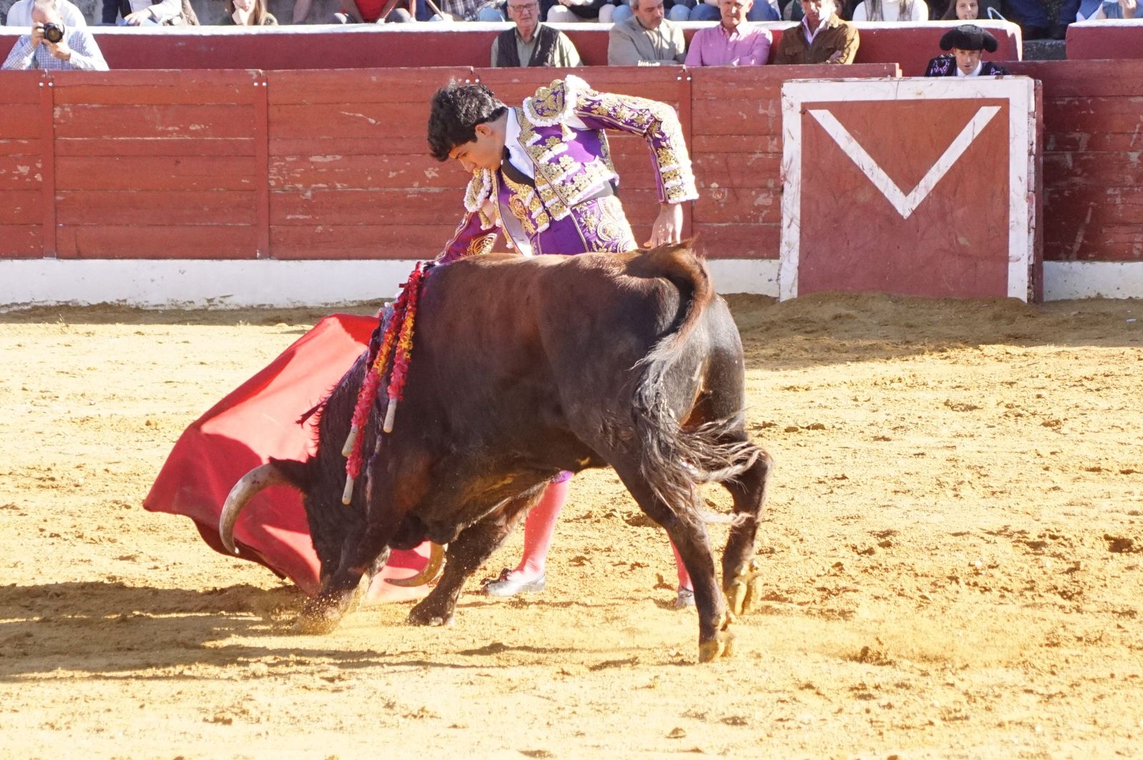 novillada-con-picadores-en-villoria-59