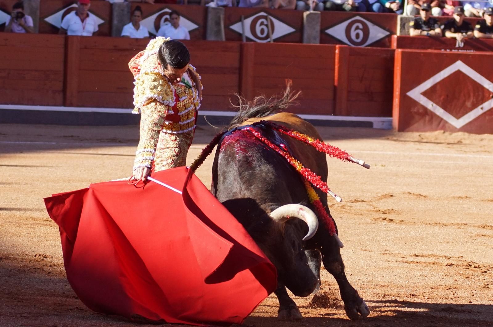 Emilio de Justo, Juan Ortega y Roca Rey inauguran el cartel de figuras en la feria de Salamanca: la corrida de Garcigrande en imágenes