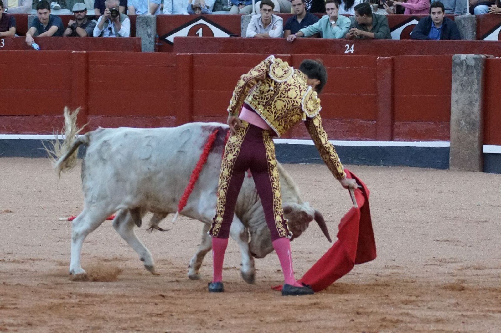 Clase práctica con alumnos de la Escuela de Tauromaquia de Salamanca (Diego Mateos, Noel García y Álvaro Rojo con erales de Esteban Isidro)