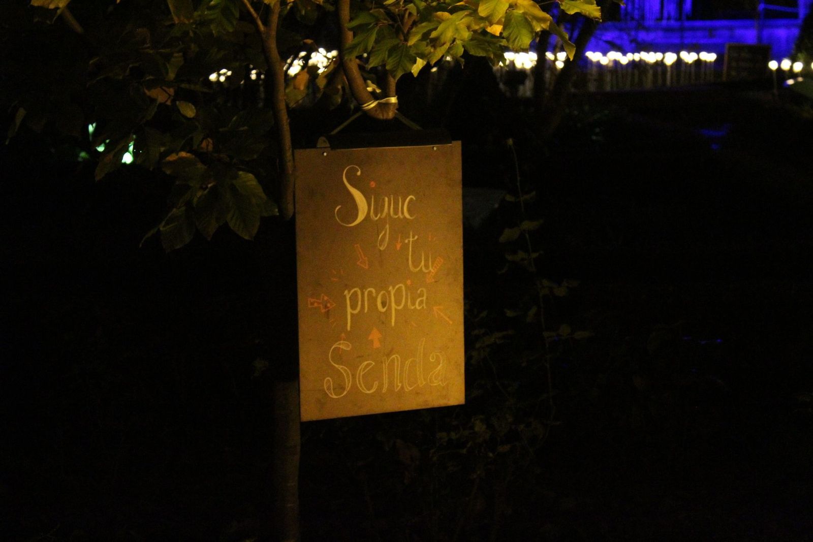 20231204212749-img-6413