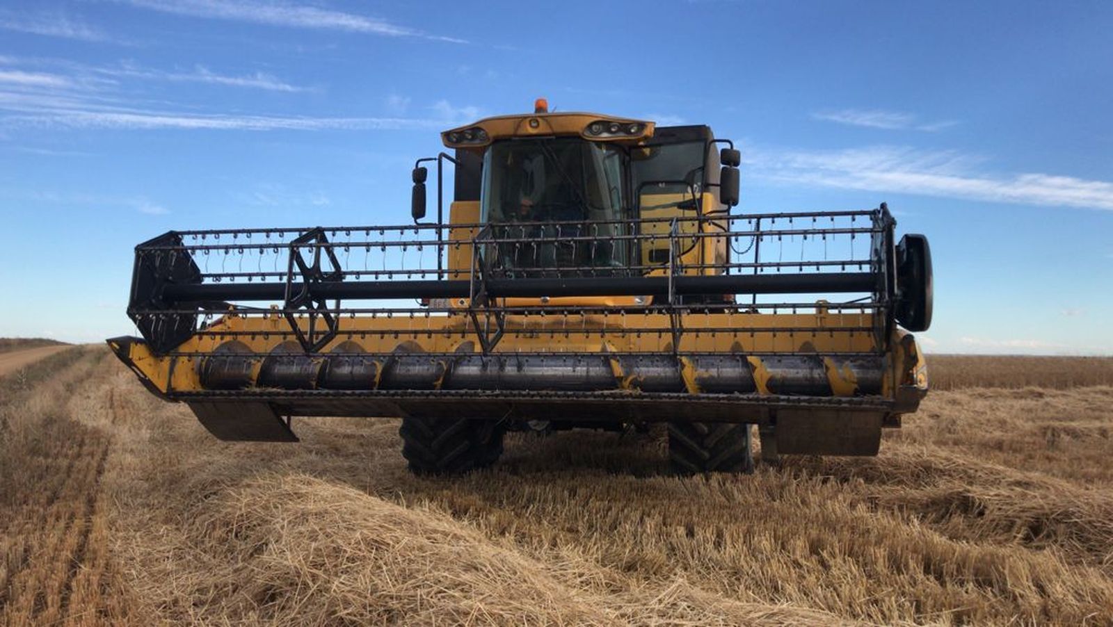Cosecha de cereales. Foto de archivo