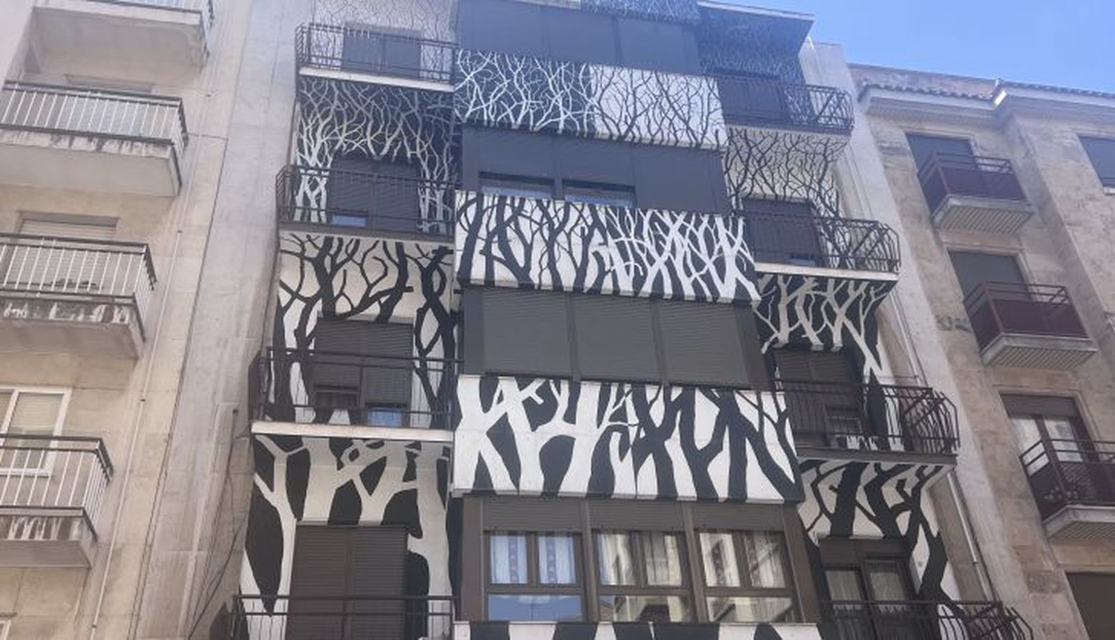 Safari West. Barrio del Oeste 