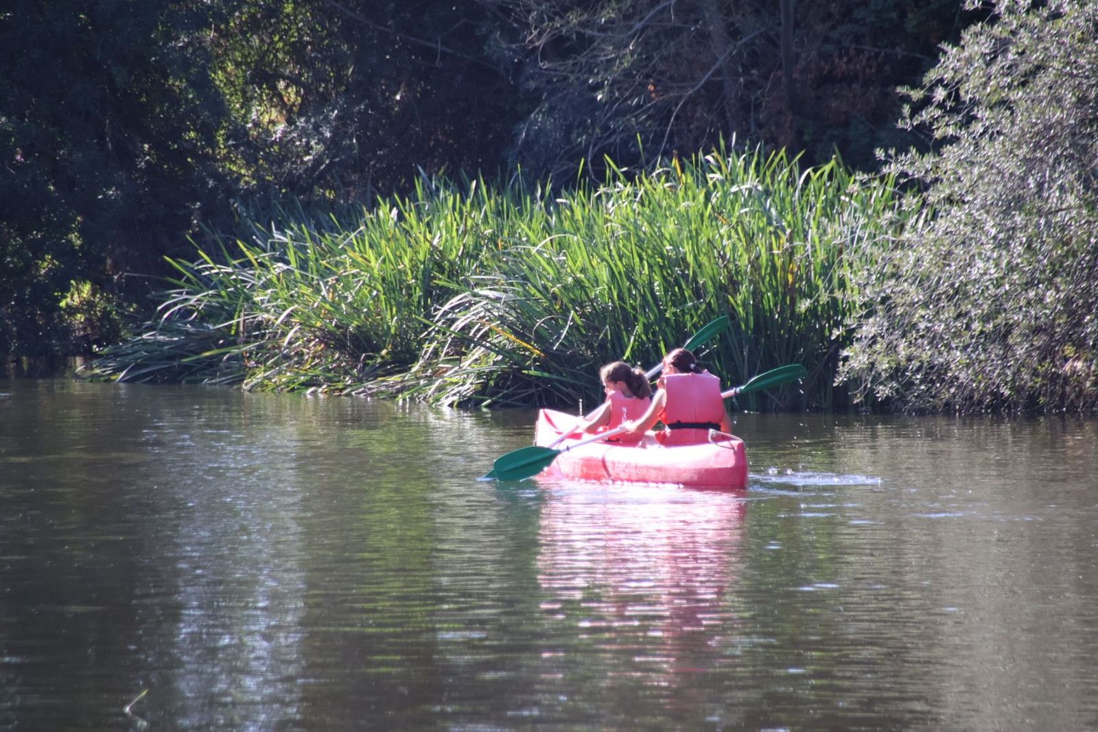 20230813092135-img-1336