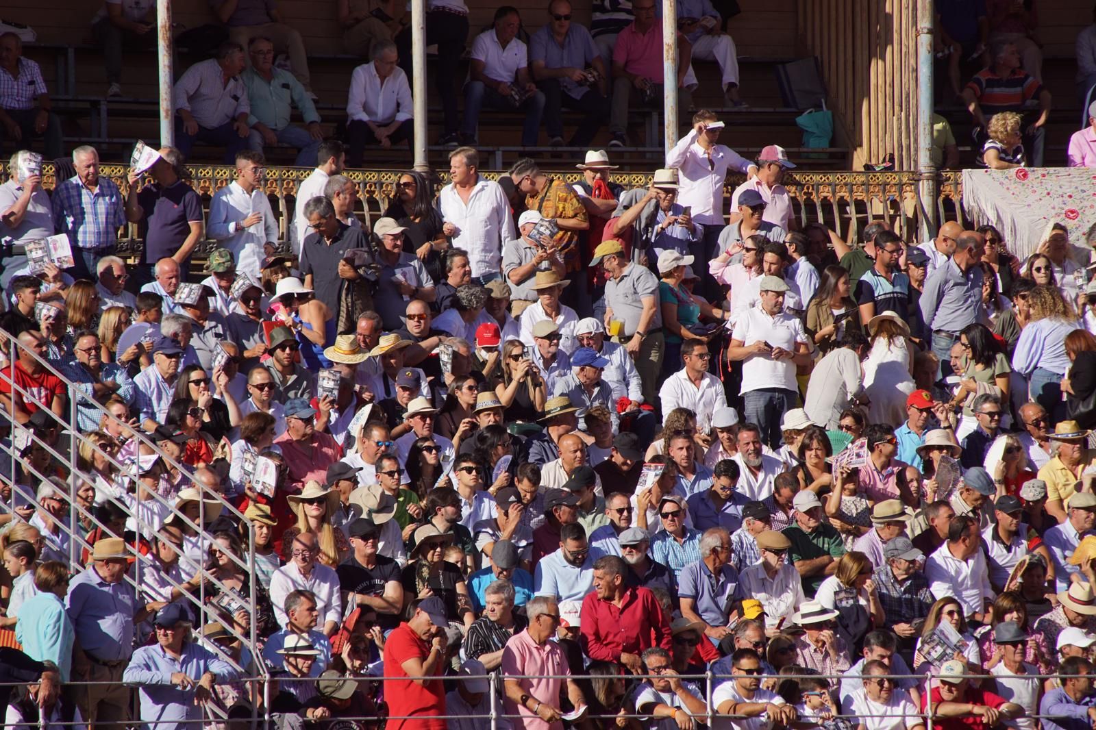 whatsapp-image-2024-09-15-at-20-03-52-5