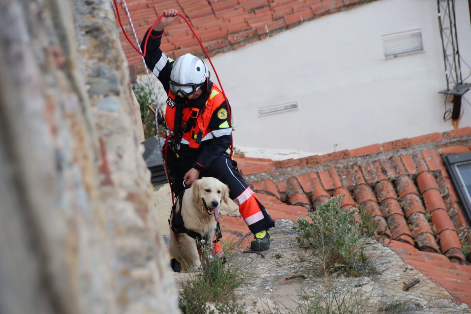 los-bomberos-rescatan-a-un-perro-en-el-jardin-botanico-de-salamanca-fotos-andrea-m-9
