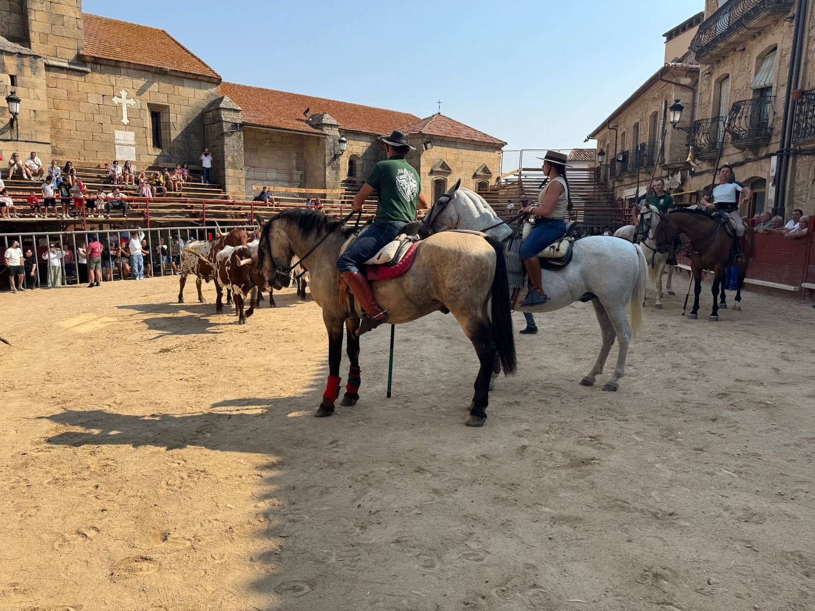 Encierro de bueyes en Aldeadávila de la Ribera para enseñarles el camino para los encierros en sus fiestas 2025