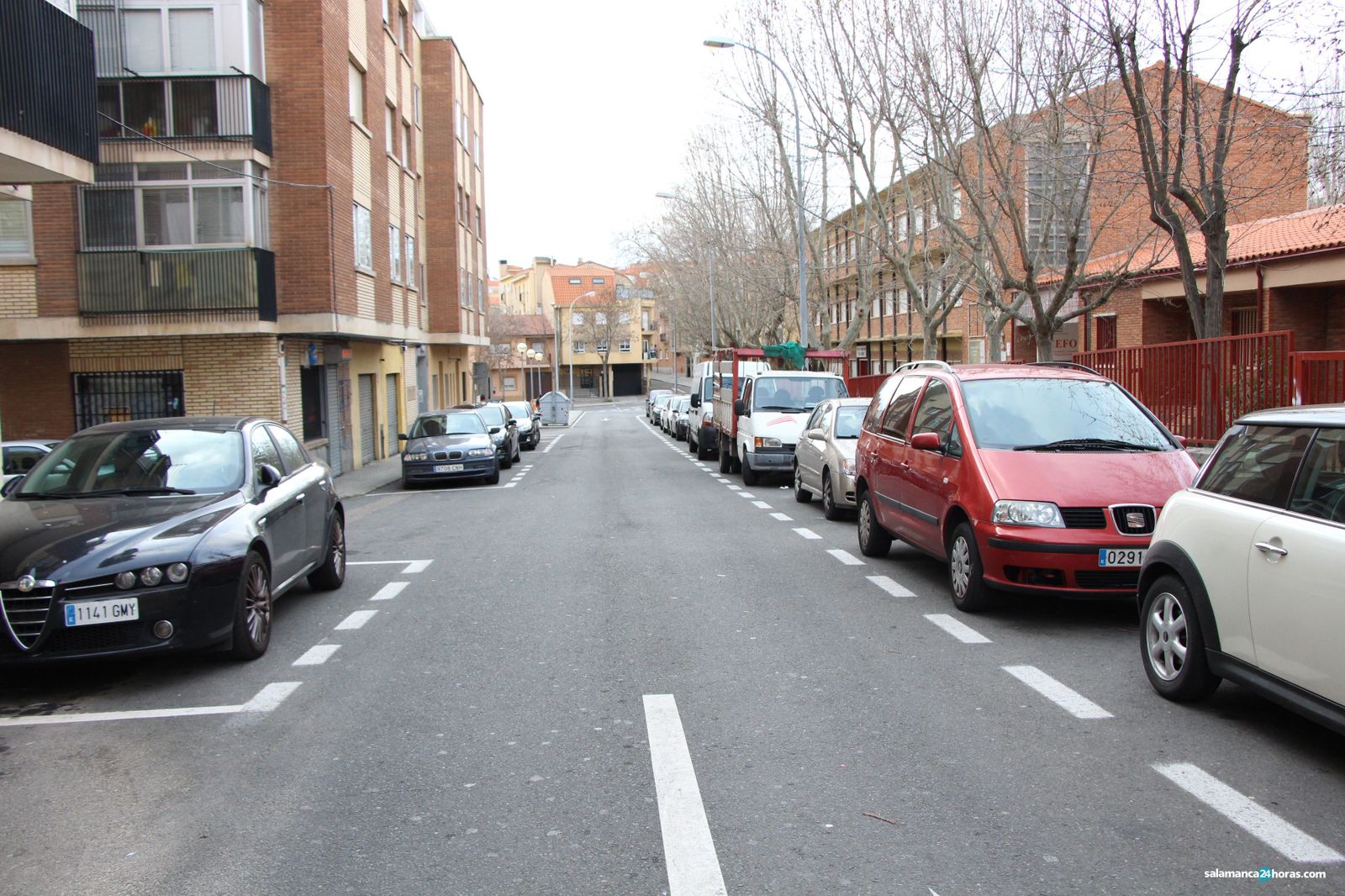 Pizarrales (25 02 2020) (5)