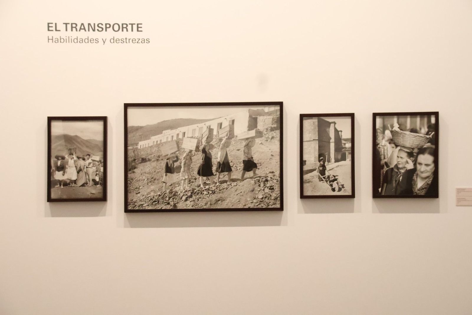 20240411094539-img-7446