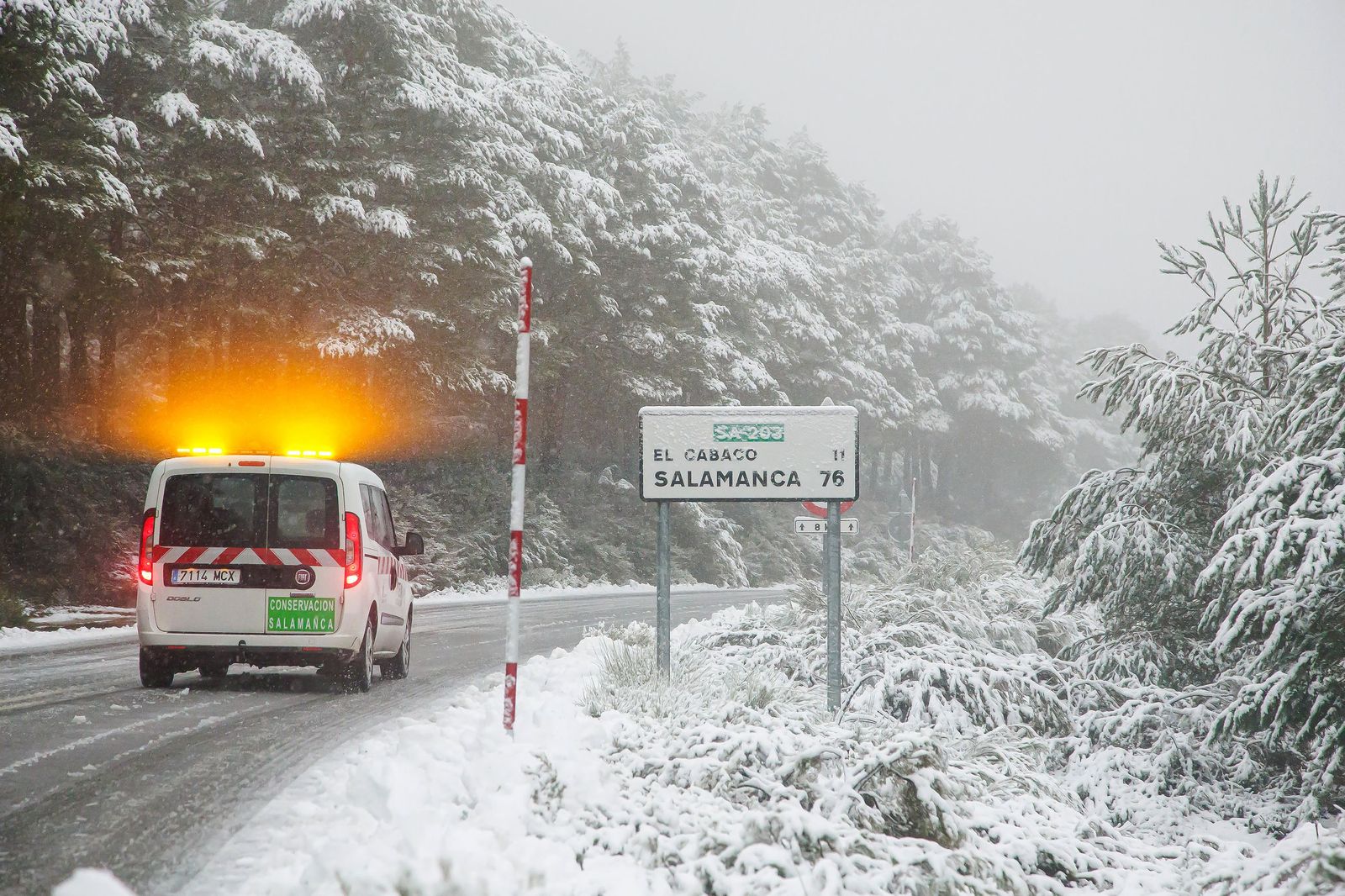 Nieve en la carretera de la Peña de Francia - José Vicente (ICAL) (3).jpg