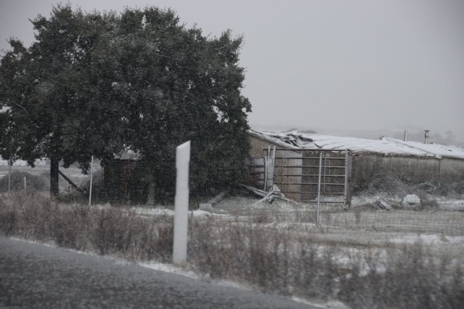 whatsapp-image-2024-01-19-at-16-43-09