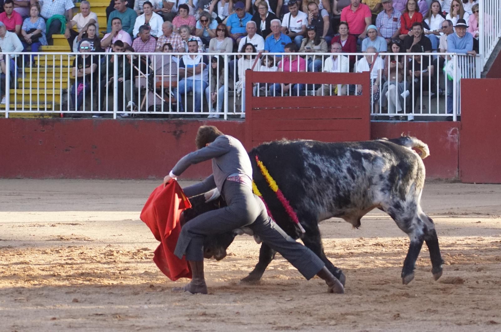 whatsapp-image-2024-09-07-at-20-49-08