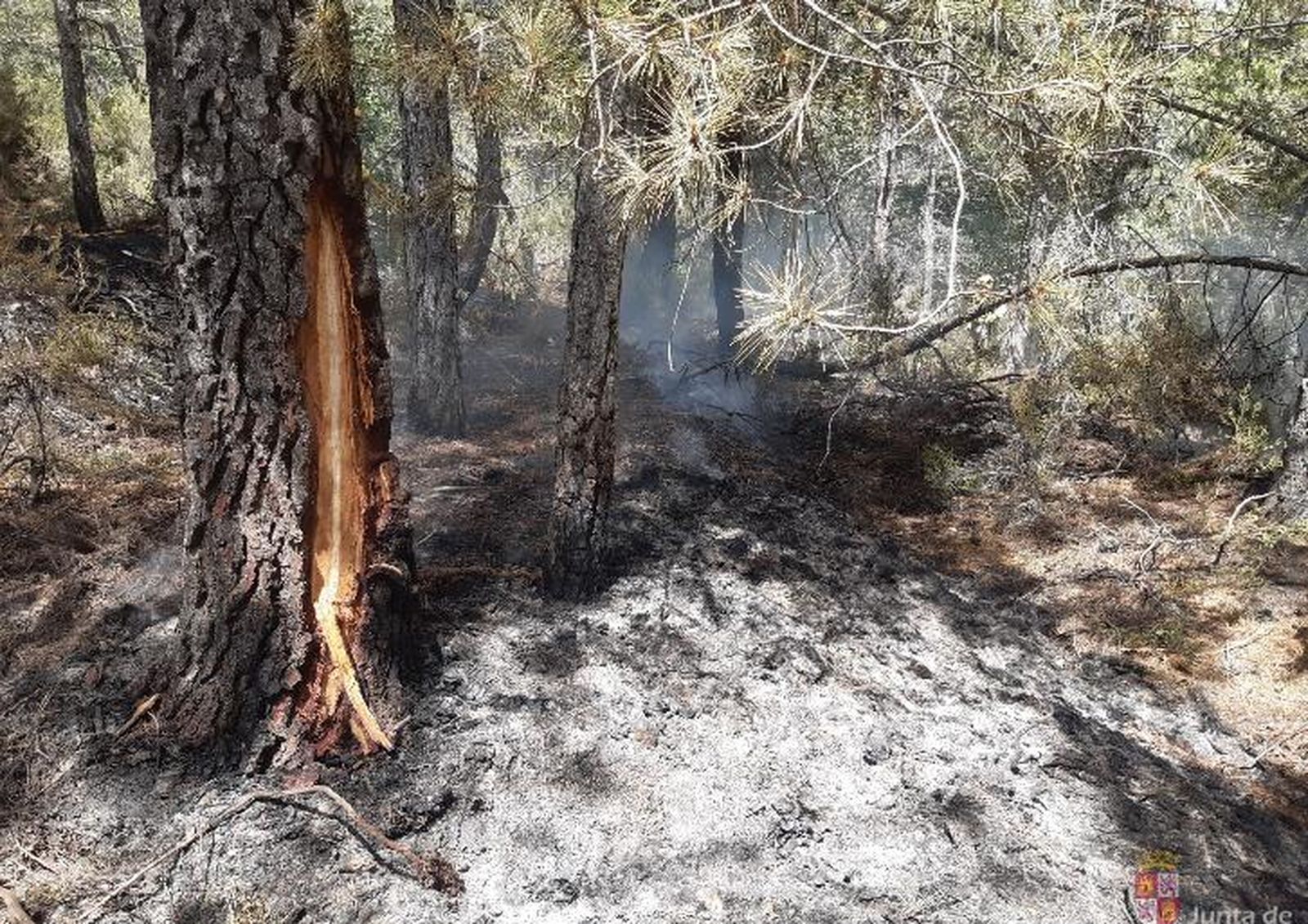 Imagen del incendio en Barruecopardo