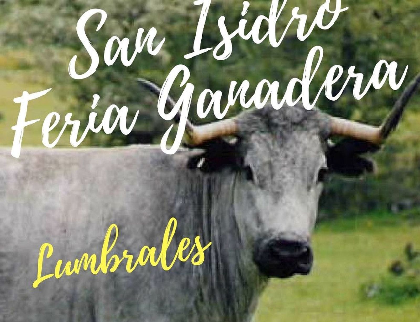 CARTEL FERIA 2