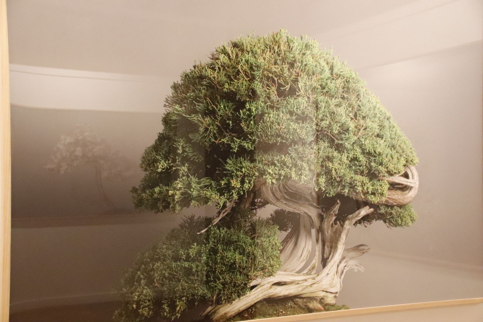 20220120110007-mg-4492