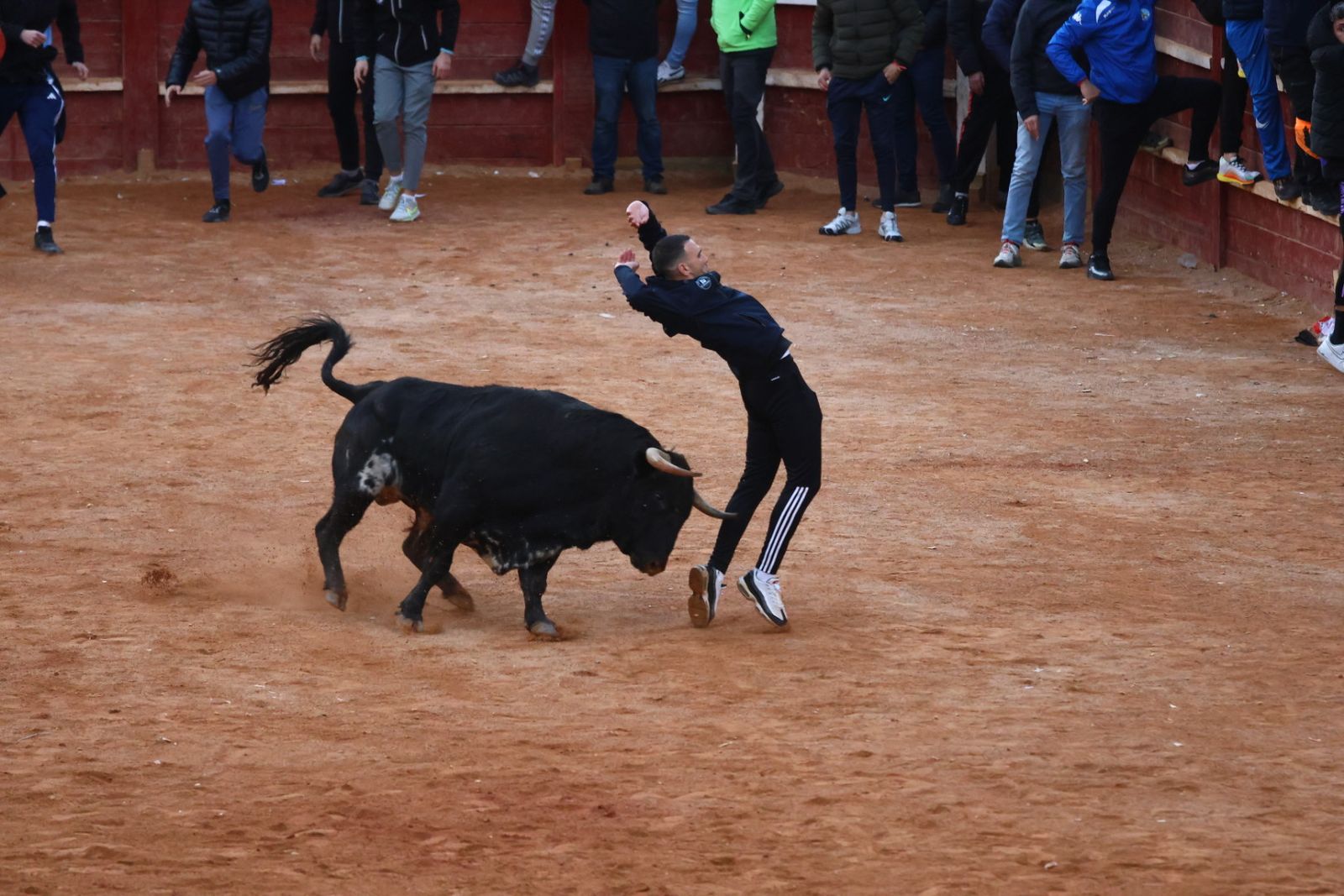 Capea de martes por la tarde en el Carnaval del Toro 2026