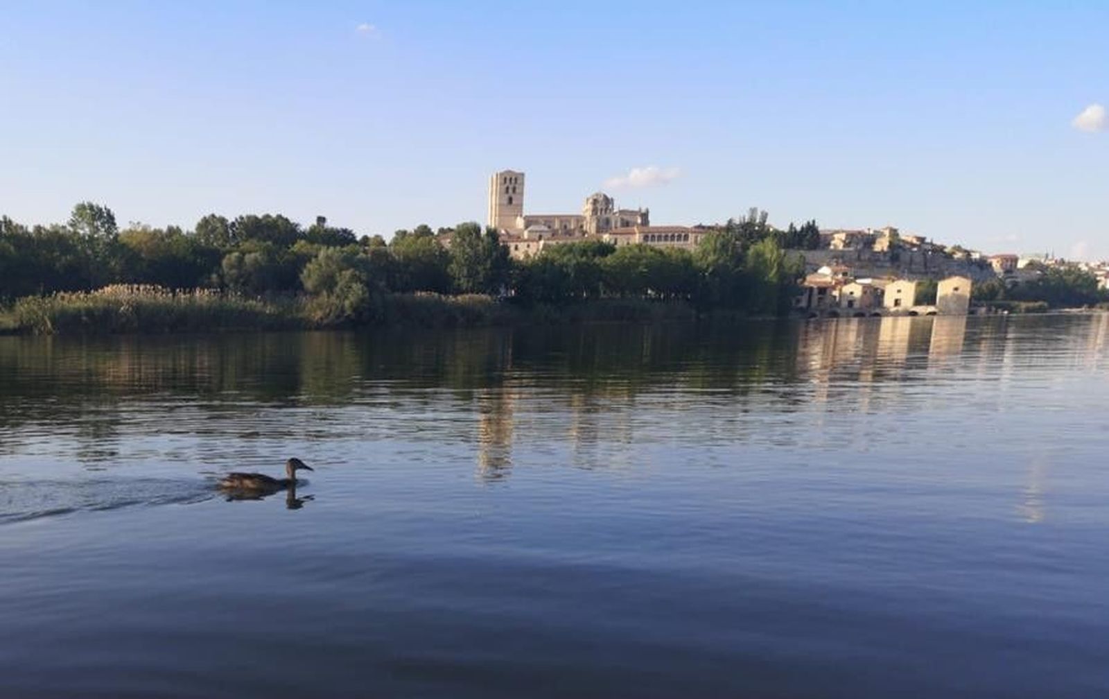 5b93a740 2a06 49dc a9ee 456d04156215 (Copy)