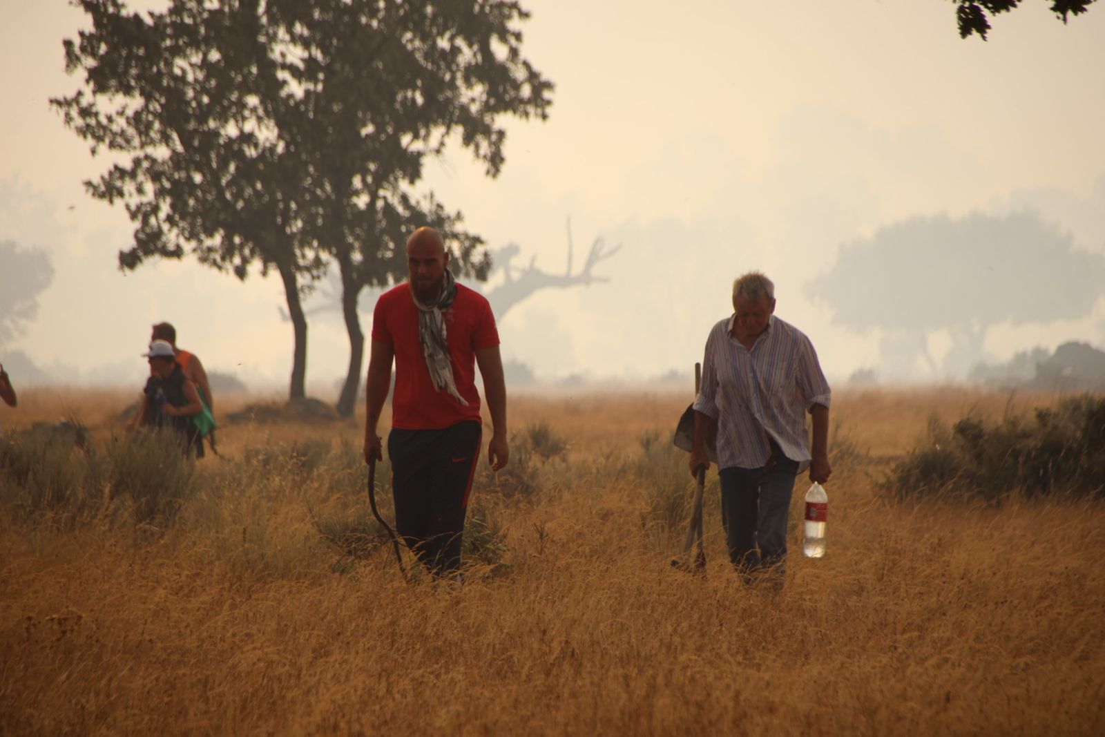 El incendio de Cipérez (IGR2) llega hasta Cerezal de Puertas