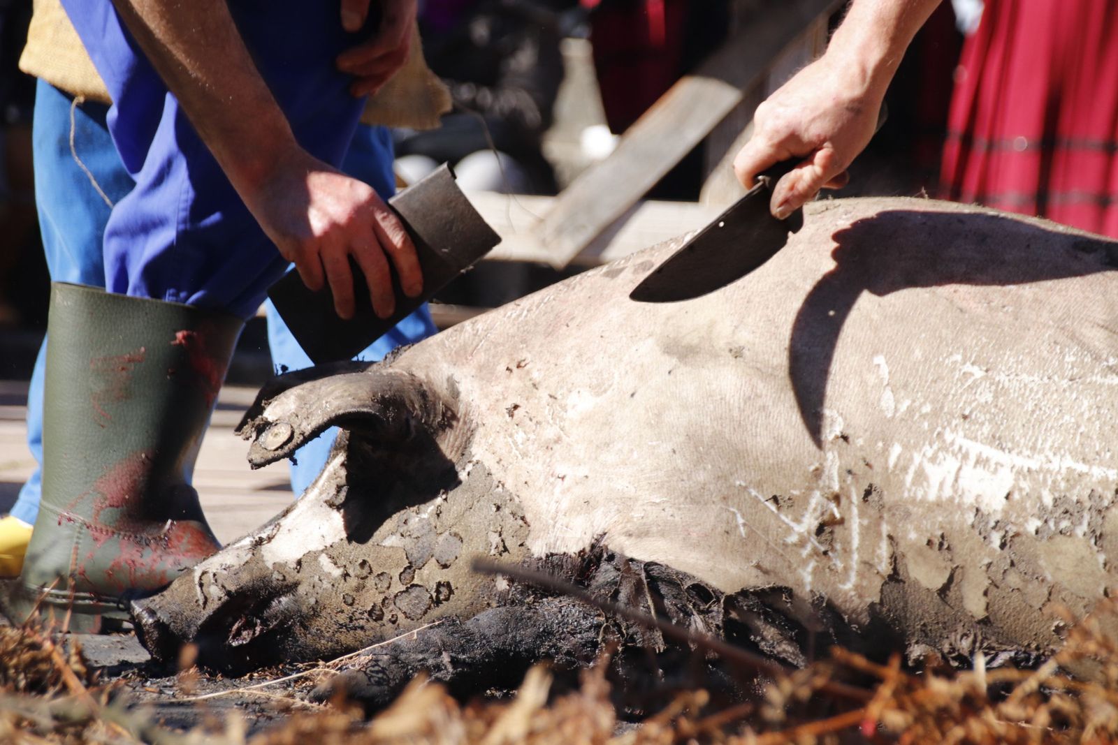 20230204130502-mg-4993