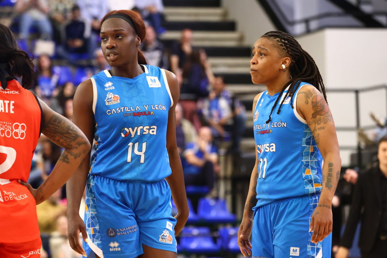 Perfumerías Avenida - Ensino Lugo