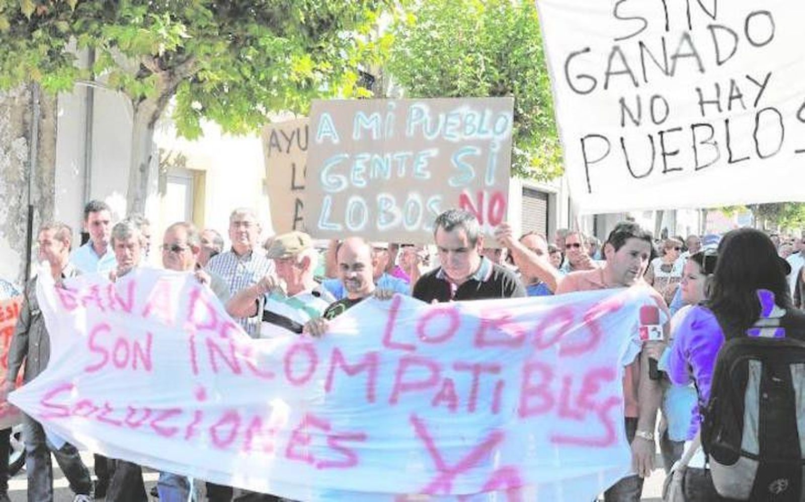 Se necesitan más permisos para abatir lobos. Iremos donde haga falta