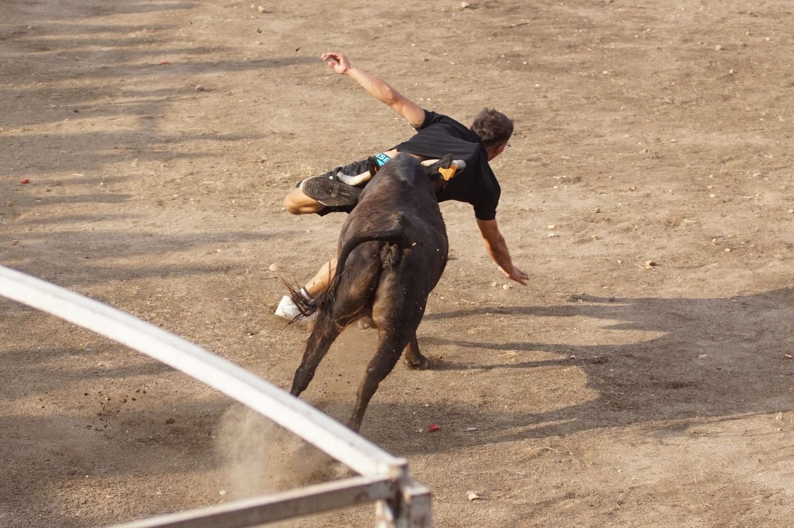 WhatsApp Image 2025-08-01 at 21.51.34 (1).jpeg