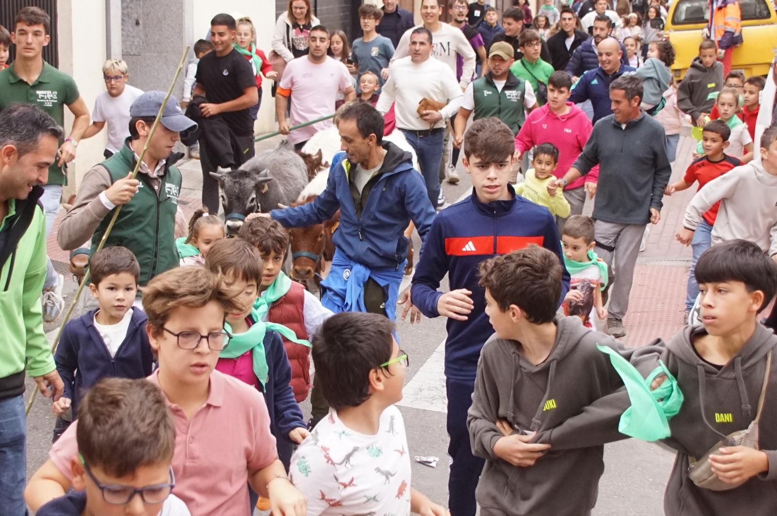 Alba de Tormes celebra un encierro, capea y encierro de minibueyes