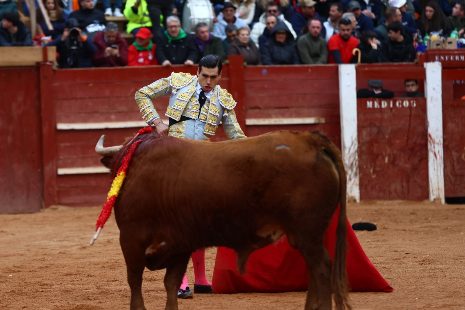 Novillada con picadores de lunes en el Carnaval del Toro de Ciudad Rodrigo 2026