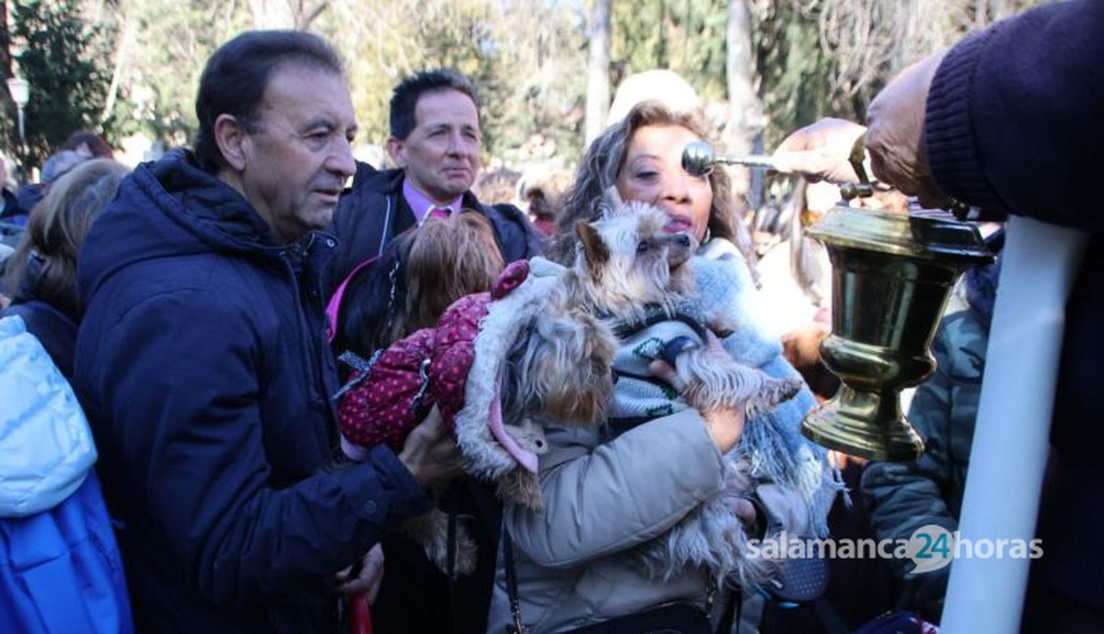 San Antón en el Campo de San Francisco