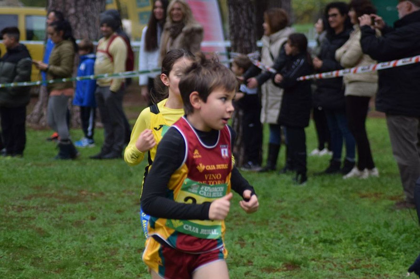 cross-de-otono-en-el-bosque-de-valorio-57