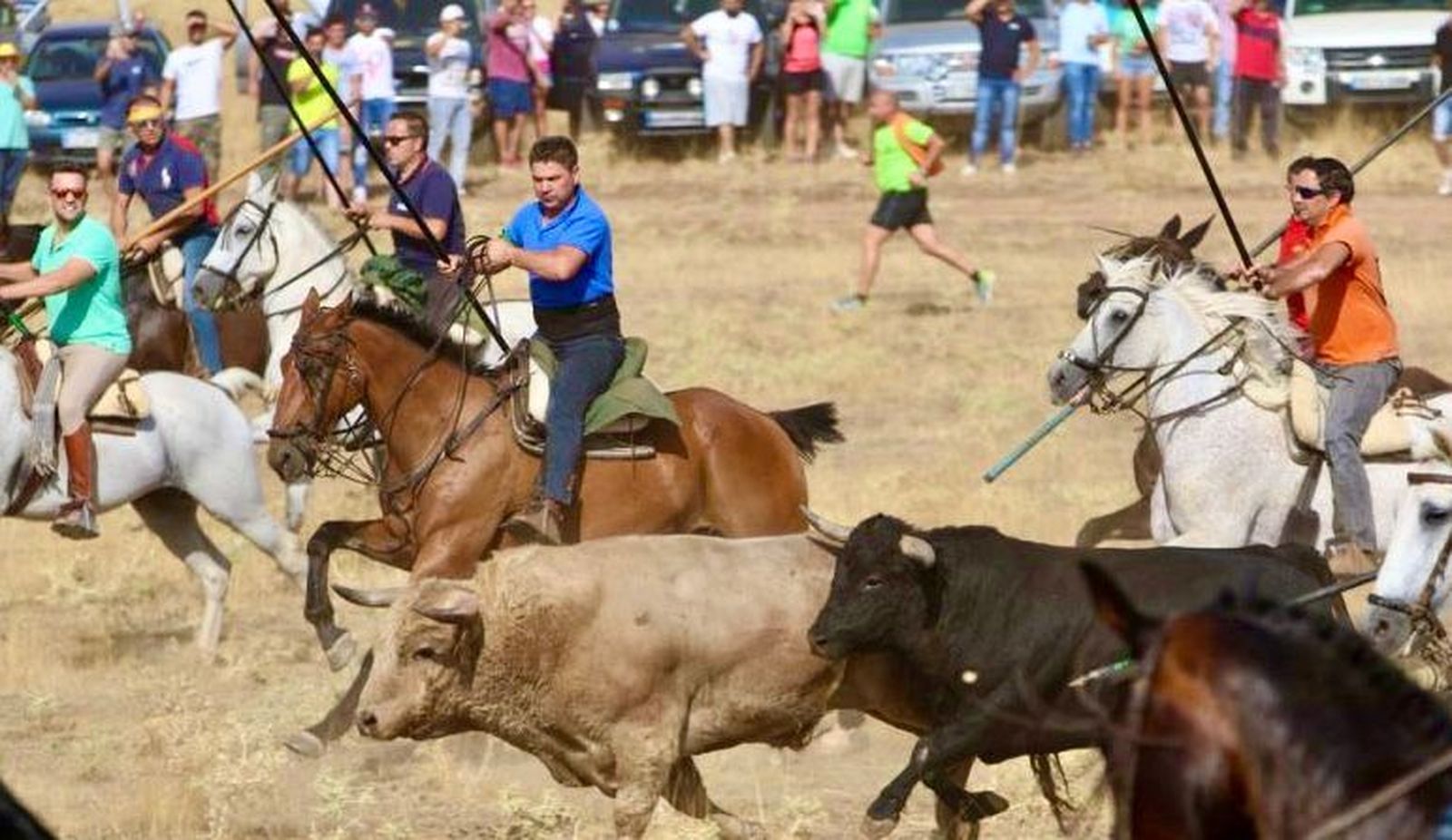 Espanto en el municipio de Carbajales