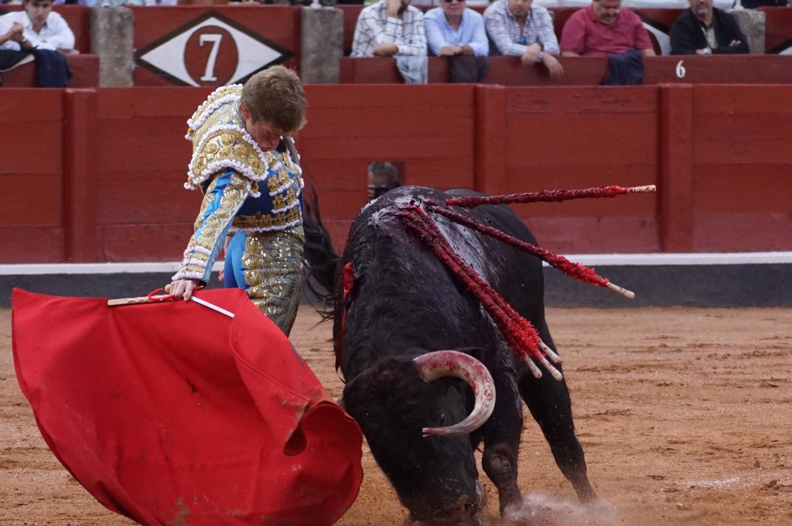 corrida-concurso-momentos-mas-destacados-del-ultimo-festejo-de-abono-de-la-feria-taurina-virgen-de-la-vega-2024-fotos-carlos-h-g-y-juanes-5